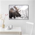 Picture of Elliot, the moose _GroupedProduct_Rectangle_Landscape_Photography _GroupedProduct_Rectangle_Landscape_Canvas_Framed_