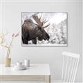 Picture of Elliot, the moose _GroupedProduct_Rectangle_Landscape_Photography _GroupedProduct_Rectangle_Landscape_Canvas_Framed_