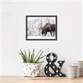 Picture of Winter Moose _GroupedProduct_Rectangle_Landscape_Photography _GroupedProduct_Rectangle_Landscape_Canvas_Framed_