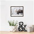 Picture of Winter Moose _GroupedProduct_Rectangle_Landscape_Photography _GroupedProduct_Rectangle_Landscape_Canvas_Framed_