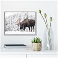 Picture of Winter Moose _GroupedProduct_Rectangle_Landscape_Photography _GroupedProduct_Rectangle_Landscape_Canvas_Framed_