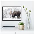 Picture of Winter Moose _GroupedProduct_Rectangle_Landscape_Photography _GroupedProduct_Rectangle_Landscape_Canvas_Framed_