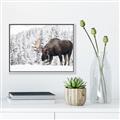 Picture of Winter Moose _GroupedProduct_Rectangle_Landscape_Photography _GroupedProduct_Rectangle_Landscape_Canvas_Framed_
