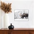Picture of Winter Moose _GroupedProduct_Rectangle_Landscape_Photography _GroupedProduct_Rectangle_Landscape_Canvas_Framed_
