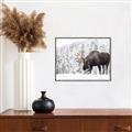 Picture of Winter Moose _GroupedProduct_Rectangle_Landscape_Photography _GroupedProduct_Rectangle_Landscape_Canvas_Framed_