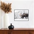 Picture of Winter Moose _GroupedProduct_Rectangle_Landscape_Photography _GroupedProduct_Rectangle_Landscape_Canvas_Framed_