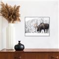 Picture of Winter Moose _GroupedProduct_Rectangle_Landscape_Photography _GroupedProduct_Rectangle_Landscape_Canvas_Framed_