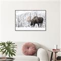 Picture of Winter Moose _GroupedProduct_Rectangle_Landscape_Photography _GroupedProduct_Rectangle_Landscape_Canvas_Framed_