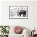 Picture of Winter Moose _GroupedProduct_Rectangle_Landscape_Photography _GroupedProduct_Rectangle_Landscape_Canvas_Framed_