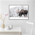 Picture of Winter Moose _GroupedProduct_Rectangle_Landscape_Photography _GroupedProduct_Rectangle_Landscape_Canvas_Framed_