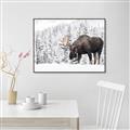 Picture of Winter Moose _GroupedProduct_Rectangle_Landscape_Photography _GroupedProduct_Rectangle_Landscape_Canvas_Framed_