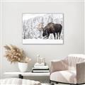 Picture of Winter Moose _GroupedProduct_Rectangle_Landscape_Photography _GroupedProduct_Rectangle_Landscape_Canvas_Framed_