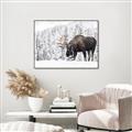 Picture of Winter Moose _GroupedProduct_Rectangle_Landscape_Photography _GroupedProduct_Rectangle_Landscape_Canvas_Framed_