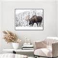 Picture of Winter Moose _GroupedProduct_Rectangle_Landscape_Photography _GroupedProduct_Rectangle_Landscape_Canvas_Framed_