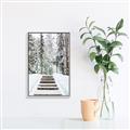 Picture of Winter's Kiss _GroupedProduct_Rectangle_Portrait_Photography _GroupedProduct_Rectangle_Portrait_Canvas_Framed_