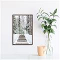 Picture of Winter's Kiss _GroupedProduct_Rectangle_Portrait_Photography _GroupedProduct_Rectangle_Portrait_Canvas_Framed_