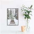 Picture of Winter's Kiss _GroupedProduct_Rectangle_Portrait_Photography _GroupedProduct_Rectangle_Portrait_Canvas_Framed_