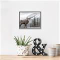 Picture of Staring Back _GroupedProduct_Rectangle_Landscape_Photography _GroupedProduct_Rectangle_Landscape_Canvas_Framed_