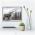 Picture of Staring Back _GroupedProduct_Rectangle_Landscape_Photography _GroupedProduct_Rectangle_Landscape_Canvas_Framed_