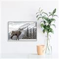 Picture of Staring Back _GroupedProduct_Rectangle_Landscape_Photography _GroupedProduct_Rectangle_Landscape_Canvas_Framed_