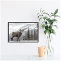 Picture of Staring Back _GroupedProduct_Rectangle_Landscape_Photography _GroupedProduct_Rectangle_Landscape_Canvas_Framed_