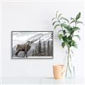 Picture of Staring Back _GroupedProduct_Rectangle_Landscape_Photography _GroupedProduct_Rectangle_Landscape_Canvas_Framed_