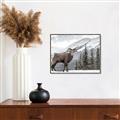 Picture of Staring Back _GroupedProduct_Rectangle_Landscape_Photography _GroupedProduct_Rectangle_Landscape_Canvas_Framed_