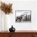 Picture of Staring Back _GroupedProduct_Rectangle_Landscape_Photography _GroupedProduct_Rectangle_Landscape_Canvas_Framed_