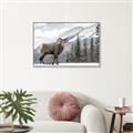 Picture of Staring Back _GroupedProduct_Rectangle_Landscape_Photography _GroupedProduct_Rectangle_Landscape_Canvas_Framed_