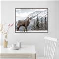 Picture of Staring Back _GroupedProduct_Rectangle_Landscape_Photography _GroupedProduct_Rectangle_Landscape_Canvas_Framed_