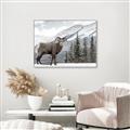 Picture of Staring Back _GroupedProduct_Rectangle_Landscape_Photography _GroupedProduct_Rectangle_Landscape_Canvas_Framed_