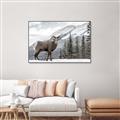 Picture of Staring Back _GroupedProduct_Rectangle_Landscape_Photography _GroupedProduct_Rectangle_Landscape_Canvas_Framed_