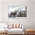 Picture of Staring Back _GroupedProduct_Rectangle_Landscape_Photography _GroupedProduct_Rectangle_Landscape_Canvas_Framed_