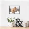 Picture of Fluffy Friend _GroupedProduct_Rectangle_Landscape_Photography _GroupedProduct_Rectangle_Landscape_Canvas_Framed_