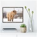 Picture of Fluffy Friend _GroupedProduct_Rectangle_Landscape_Photography _GroupedProduct_Rectangle_Landscape_Canvas_Framed_