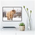 Picture of Fluffy Friend _GroupedProduct_Rectangle_Landscape_Photography _GroupedProduct_Rectangle_Landscape_Canvas_Framed_