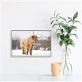 Picture of Fluffy Friend _GroupedProduct_Rectangle_Landscape_Photography _GroupedProduct_Rectangle_Landscape_Canvas_Framed_