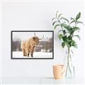 Picture of Fluffy Friend _GroupedProduct_Rectangle_Landscape_Photography _GroupedProduct_Rectangle_Landscape_Canvas_Framed_
