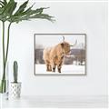 Picture of Fluffy Friend _GroupedProduct_Rectangle_Landscape_Photography _GroupedProduct_Rectangle_Landscape_Canvas_Framed_