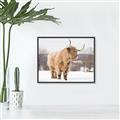 Picture of Fluffy Friend _GroupedProduct_Rectangle_Landscape_Photography _GroupedProduct_Rectangle_Landscape_Canvas_Framed_