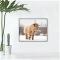 Picture of Fluffy Friend _GroupedProduct_Rectangle_Landscape_Photography _GroupedProduct_Rectangle_Landscape_Canvas_Framed_
