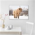Picture of Fluffy Friend _GroupedProduct_Rectangle_Landscape_Photography _GroupedProduct_Rectangle_Landscape_Canvas_Framed_