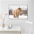 Picture of Fluffy Friend _GroupedProduct_Rectangle_Landscape_Photography _GroupedProduct_Rectangle_Landscape_Canvas_Framed_
