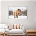 Picture of Fluffy Friend _GroupedProduct_Rectangle_Landscape_Photography _GroupedProduct_Rectangle_Landscape_Canvas_Framed_