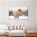 Picture of Fluffy Friend _GroupedProduct_Rectangle_Landscape_Photography _GroupedProduct_Rectangle_Landscape_Canvas_Framed_