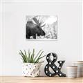 Picture of Elliot, the moose _GroupedProduct_Rectangle_Landscape_Photography _GroupedProduct_Rectangle_Landscape_Unframed_Print_Only_