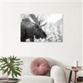 Picture of Elliot, the moose _GroupedProduct_Rectangle_Landscape_Photography _GroupedProduct_Rectangle_Landscape_Unframed_Print_Only_