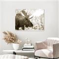 Picture of Elliot, the moose _GroupedProduct_Rectangle_Landscape_Photography _GroupedProduct_Rectangle_Landscape_Unframed_Print_Only_