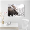 Picture of Elliot, the moose _GroupedProduct_Rectangle_Landscape_Photography _GroupedProduct_Rectangle_Landscape_Unframed_Print_Only_