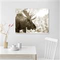 Picture of Elliot, the moose _GroupedProduct_Rectangle_Landscape_Photography _GroupedProduct_Rectangle_Landscape_Unframed_Print_Only_